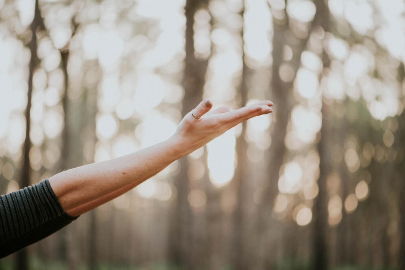 Zaburzenia odżywiania