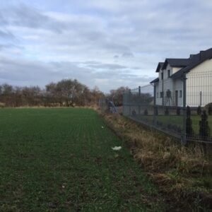 kakolewo morelowa smigielski group