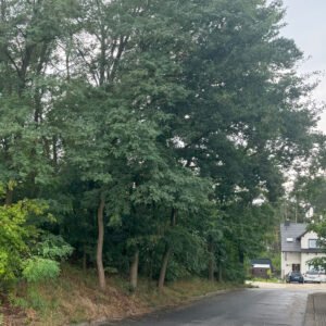 Rawicz Cechowa nad zalewem - domy od dewelopera